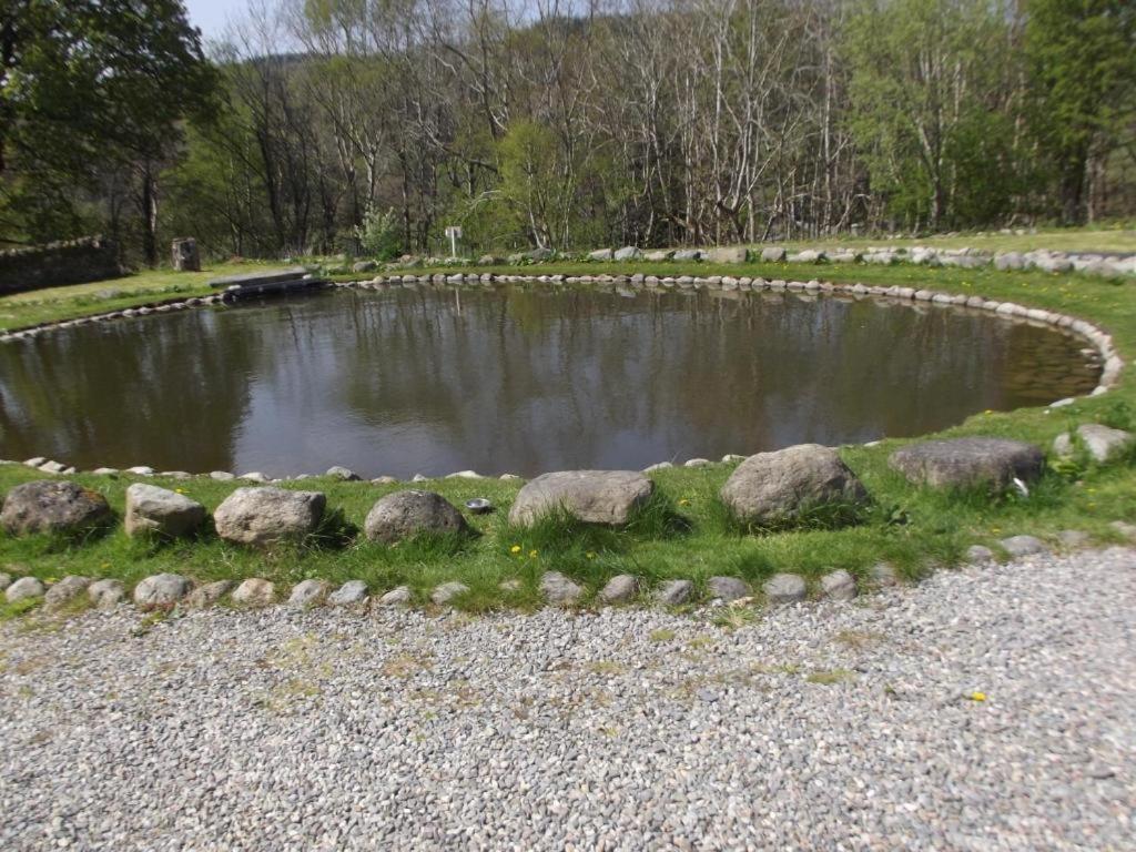 Cosy Ground Floor Disabled Friendly Room In Farm House Llandderfel Eksteriør billede