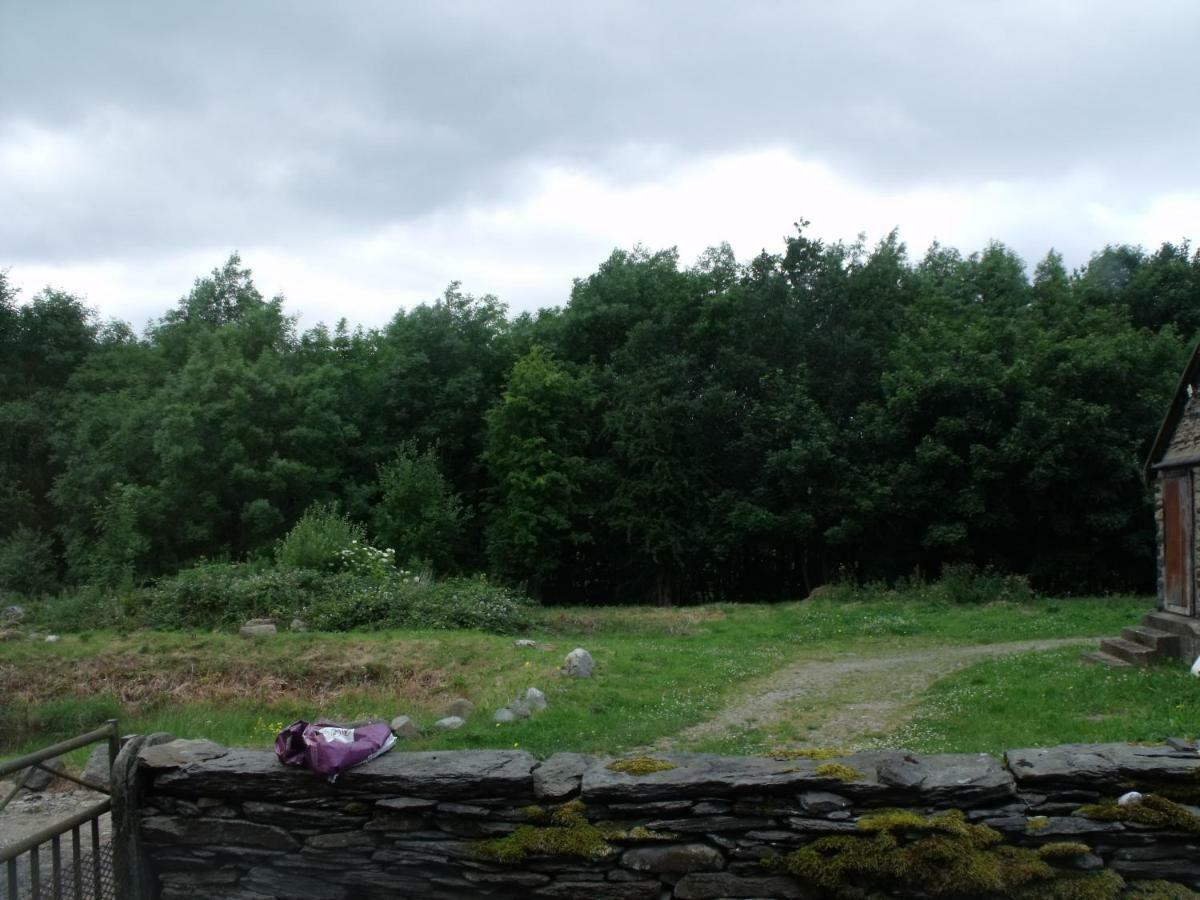 Cosy Ground Floor Disabled Friendly Room In Farm House Llandderfel Eksteriør billede